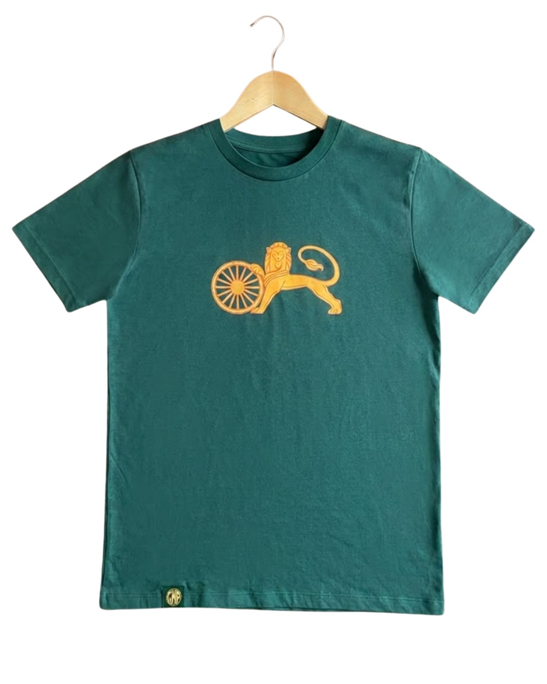 STEAM Kids Leo T-Shirt 5-6 Years
